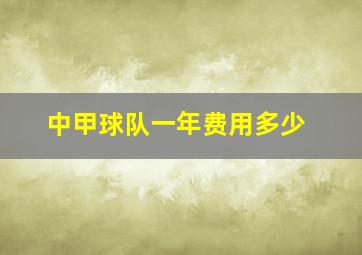 中甲球队一年费用多少