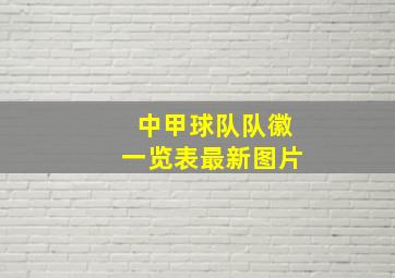 中甲球队队徽一览表最新图片