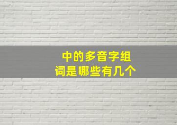 中的多音字组词是哪些有几个