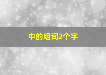 中的组词2个字