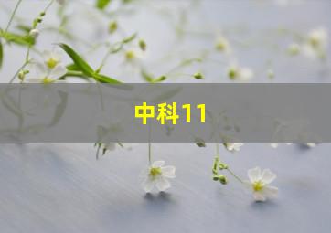 中科11