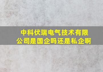 中科伏瑞电气技术有限公司是国企吗还是私企啊