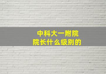 中科大一附院院长什么级别的