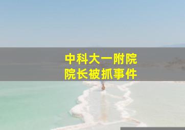 中科大一附院院长被抓事件