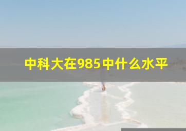 中科大在985中什么水平