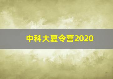 中科大夏令营2020