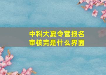 中科大夏令营报名审核完是什么界面