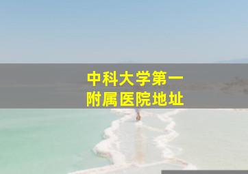 中科大学第一附属医院地址