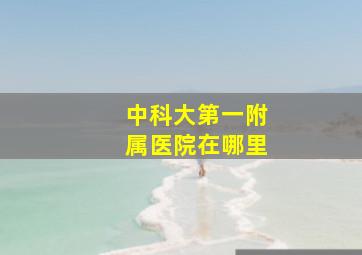 中科大第一附属医院在哪里