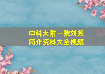 中科大附一院刘尧简介资料大全视频