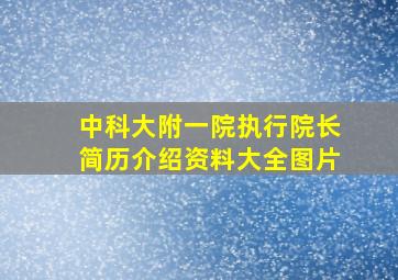 中科大附一院执行院长简历介绍资料大全图片