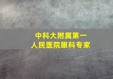 中科大附属第一人民医院眼科专家