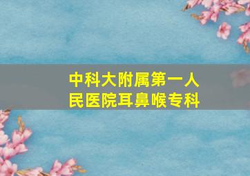 中科大附属第一人民医院耳鼻喉专科