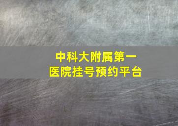 中科大附属第一医院挂号预约平台