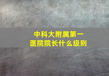 中科大附属第一医院院长什么级别