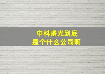 中科曙光到底是个什么公司啊