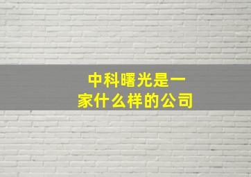 中科曙光是一家什么样的公司