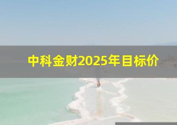 中科金财2025年目标价