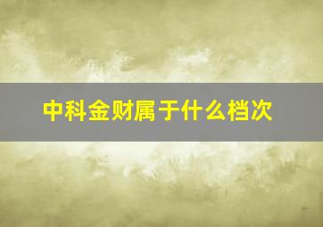 中科金财属于什么档次