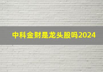 中科金财是龙头股吗2024