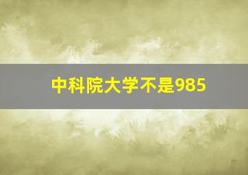 中科院大学不是985