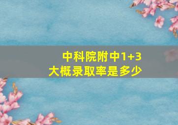 中科院附中1+3大概录取率是多少