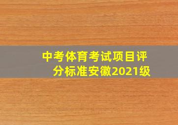 中考体育考试项目评分标准安徽2021级