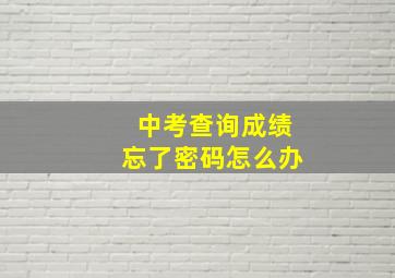 中考查询成绩忘了密码怎么办