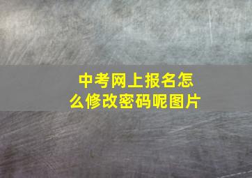 中考网上报名怎么修改密码呢图片