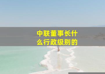 中联董事长什么行政级别的