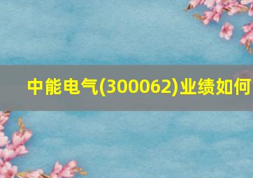 中能电气(300062)业绩如何