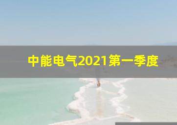 中能电气2021第一季度