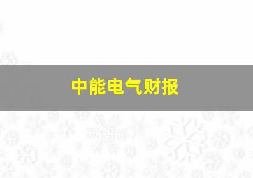 中能电气财报