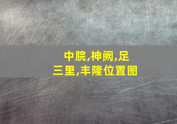 中脘,神阙,足三里,丰隆位置图