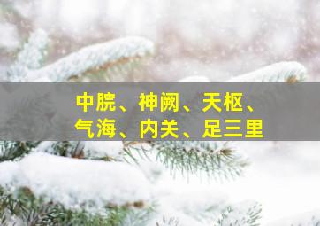 中脘、神阙、天枢、气海、内关、足三里