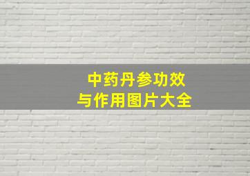 中药丹参功效与作用图片大全