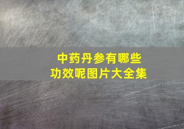 中药丹参有哪些功效呢图片大全集