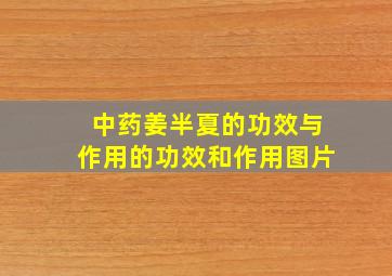 中药姜半夏的功效与作用的功效和作用图片