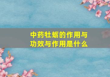 中药牡蛎的作用与功效与作用是什么