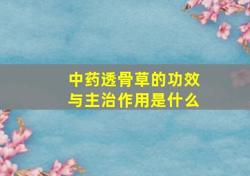 中药透骨草的功效与主治作用是什么