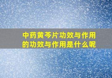 中药黄芩片功效与作用的功效与作用是什么呢