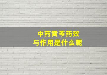 中药黄芩药效与作用是什么呢