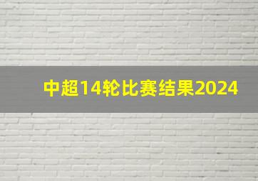 中超14轮比赛结果2024