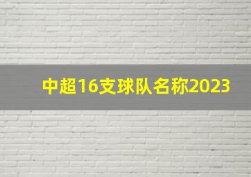 中超16支球队名称2023