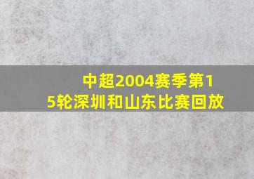 中超2004赛季第15轮深圳和山东比赛回放