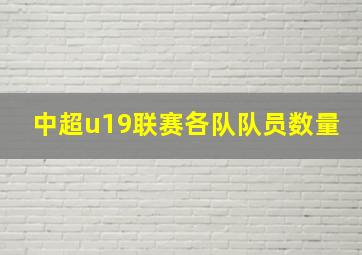 中超u19联赛各队队员数量