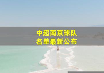 中超南京球队名单最新公布