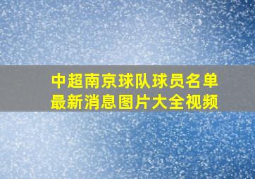 中超南京球队球员名单最新消息图片大全视频