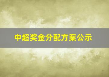 中超奖金分配方案公示