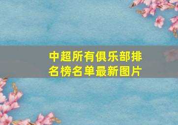 中超所有俱乐部排名榜名单最新图片